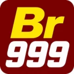 Br999 Game